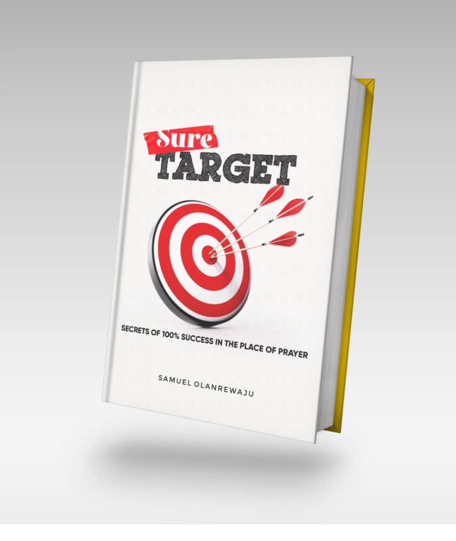 Sure Target book cover